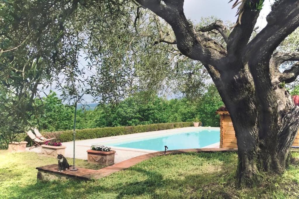 Ferienwohnung La Coccinella San Venanzo Exterior foto