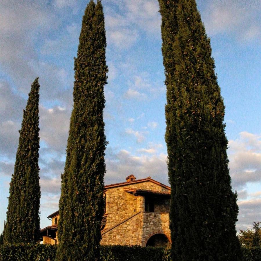 Ferienwohnung La Coccinella San Venanzo Exterior foto