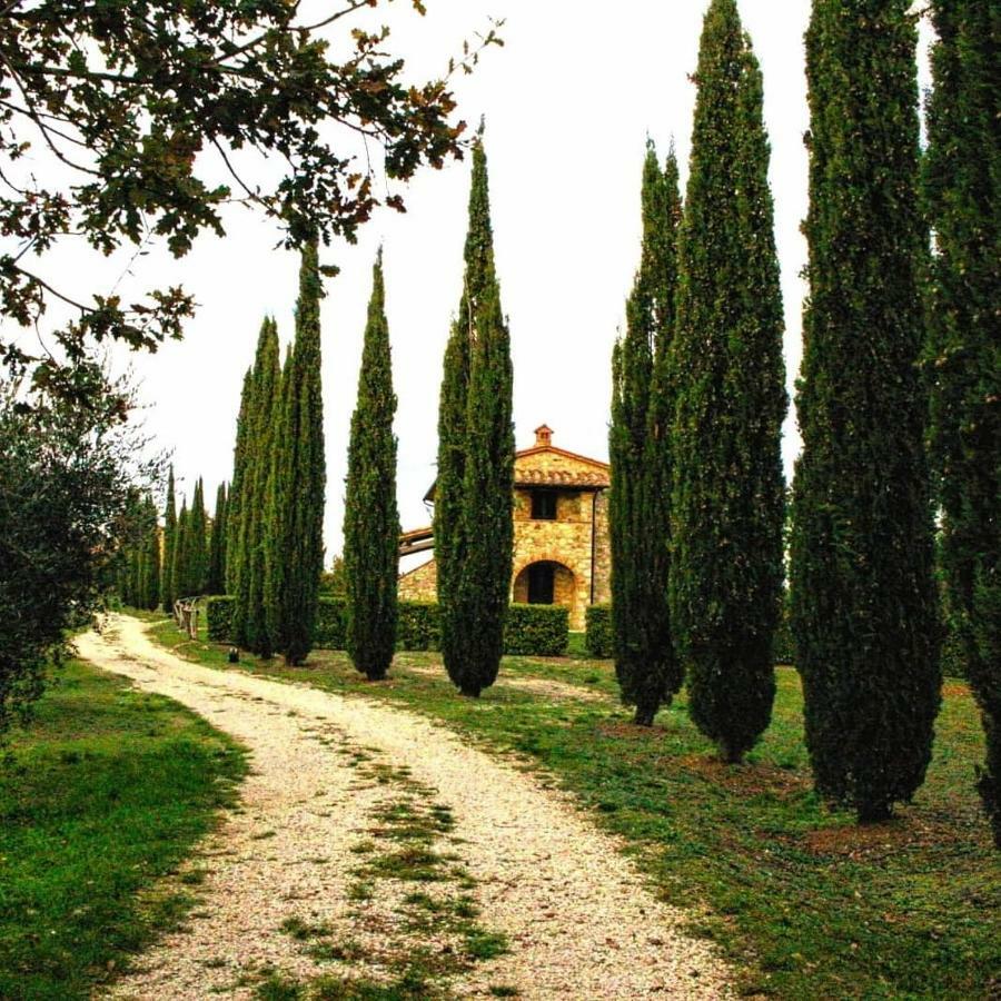 Ferienwohnung La Coccinella San Venanzo Exterior foto