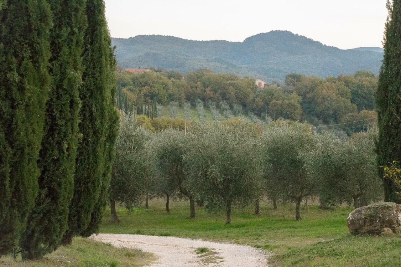 Ferienwohnung La Coccinella San Venanzo Exterior foto