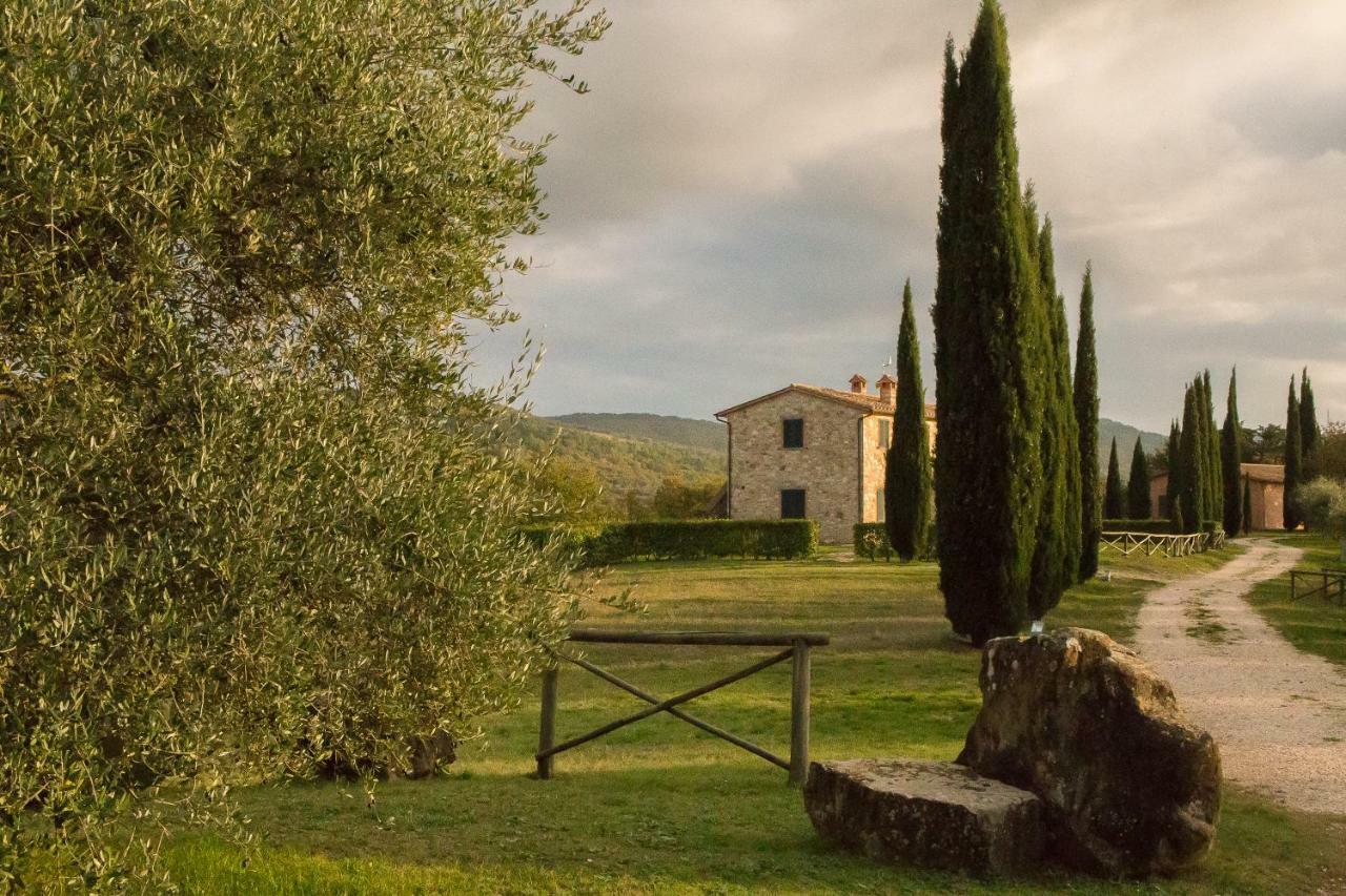Ferienwohnung La Coccinella San Venanzo Exterior foto
