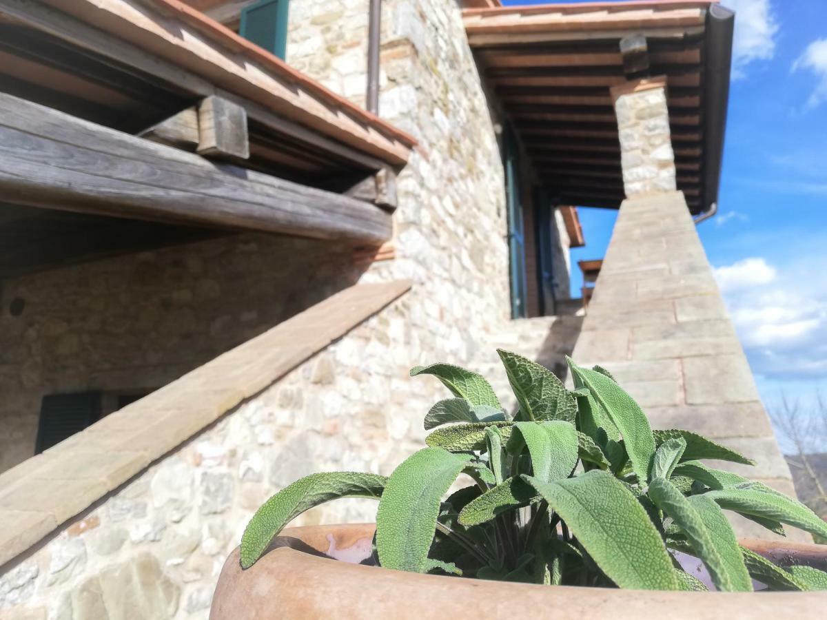 Ferienwohnung La Coccinella San Venanzo Exterior foto